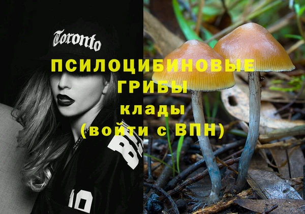 шишки Наволоки