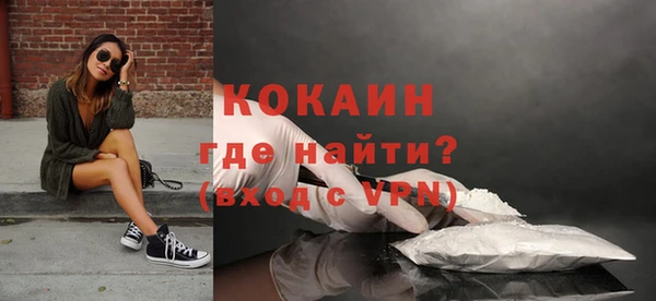 шишки Наволоки