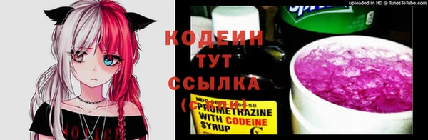 шишки Наволоки