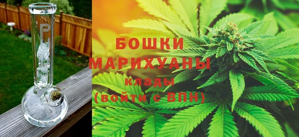 шишки Наволоки
