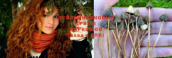 шишки Наволоки