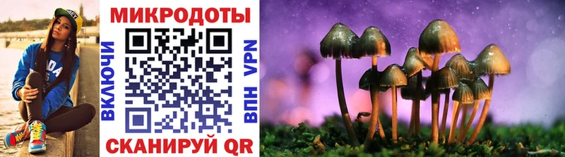 где купить   Златоуст  Галлюциногенные грибы мухоморы 